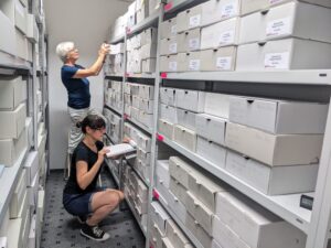 Gabriela Schaaf und Sigrid Haller-Rübbeck im Archiv